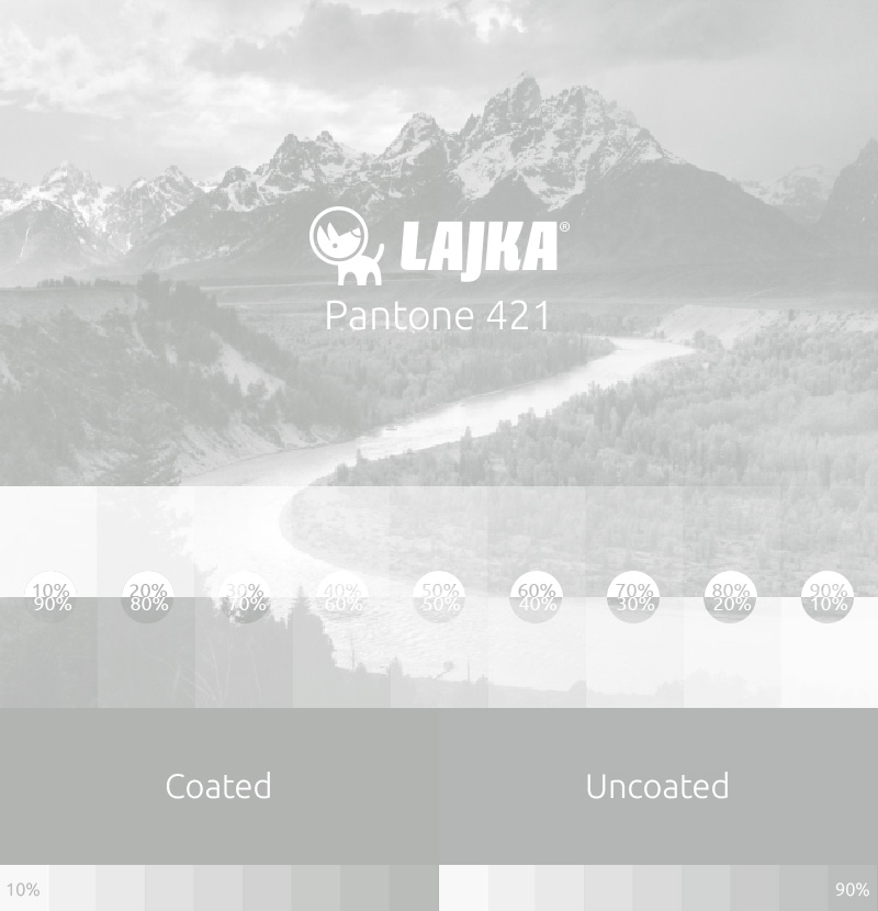 pantone 421