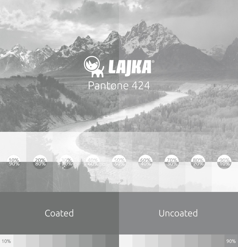 pantone 424
