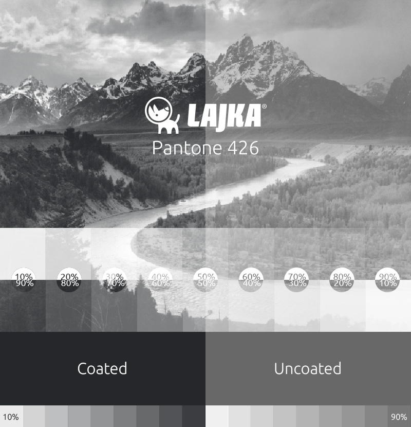 pantone 426