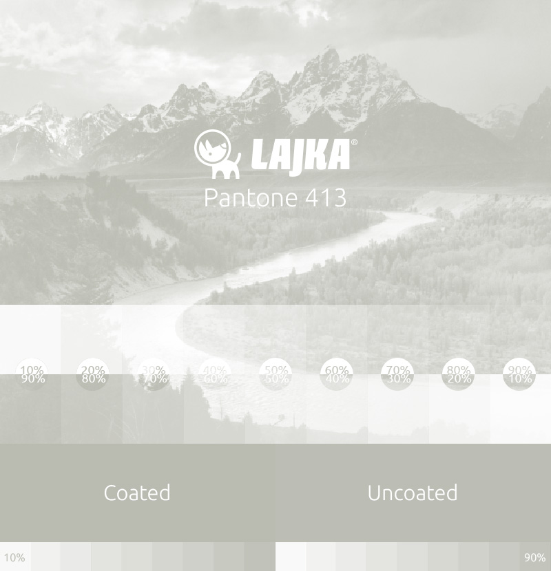 pantone 413