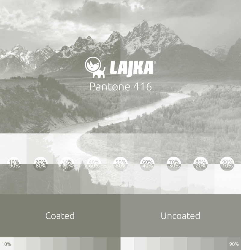 pantone 416