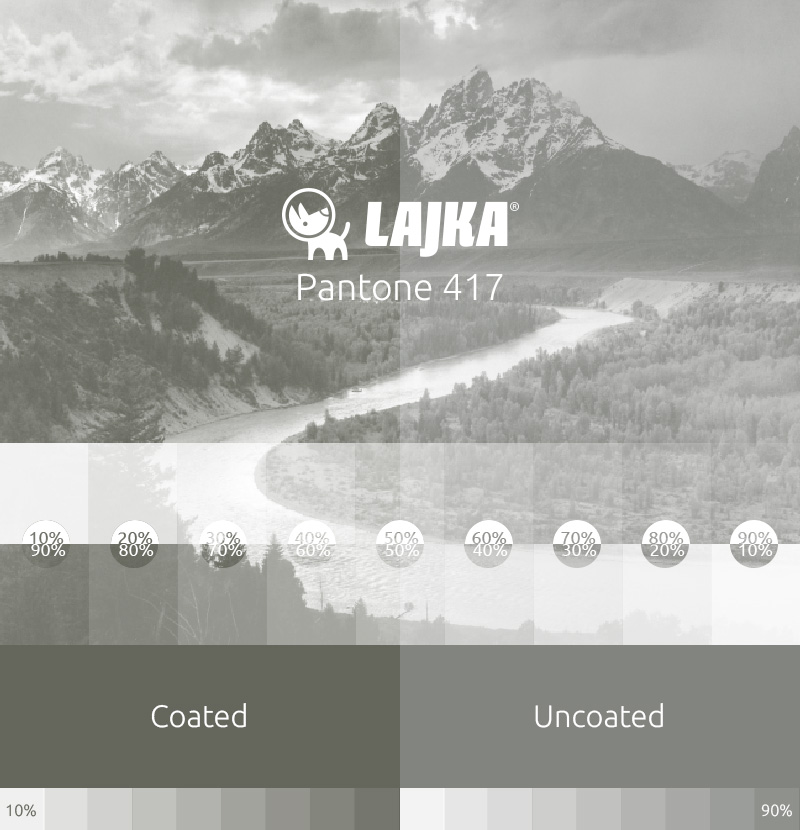 pantone 417