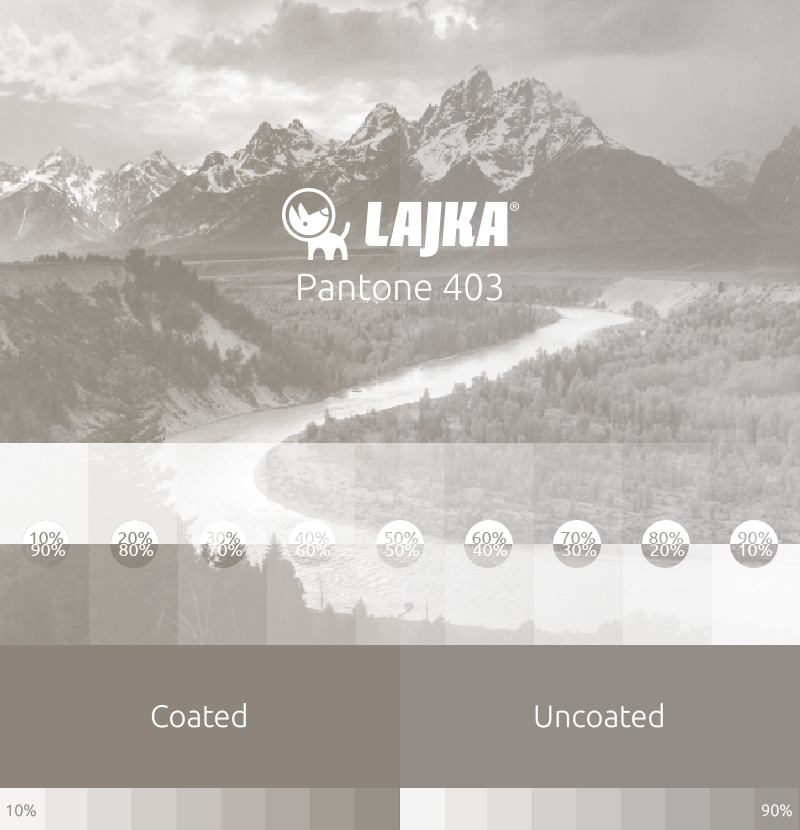 pantone 403