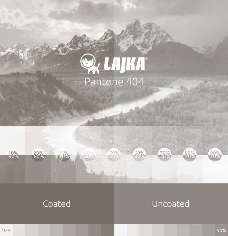 pantone 404