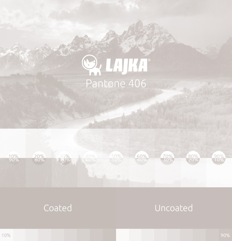 pantone 406