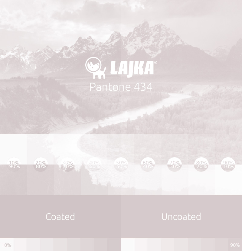 pantone 434