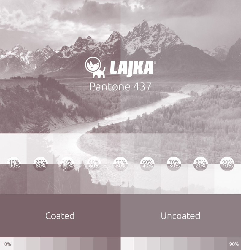 pantone 437