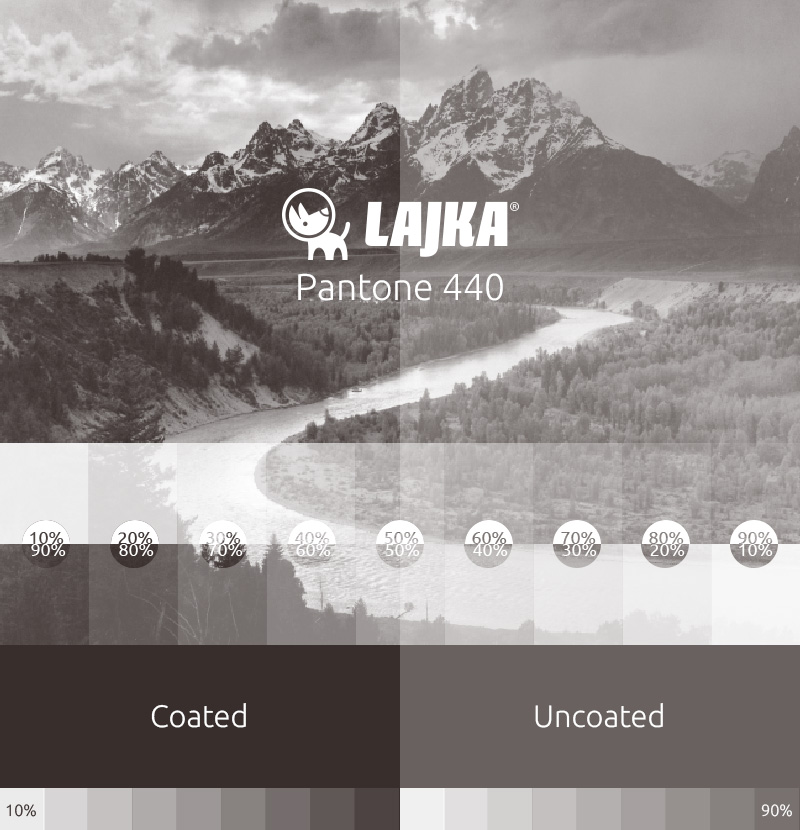 pantone 440