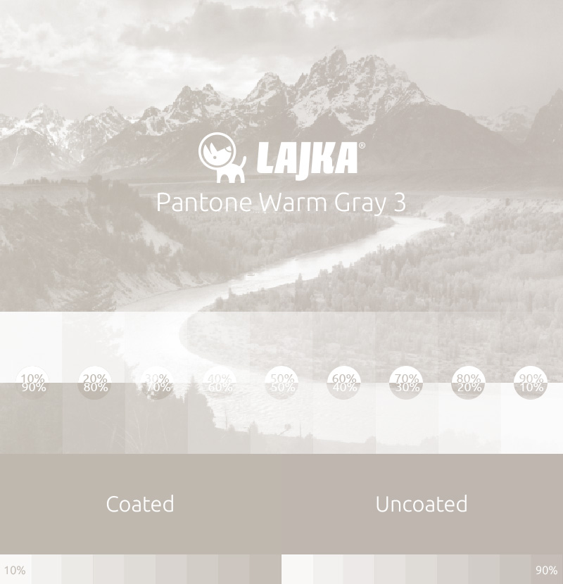 pantone warm gray 3