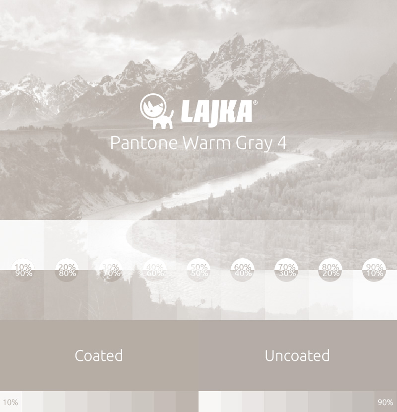 pantone warm gray 4