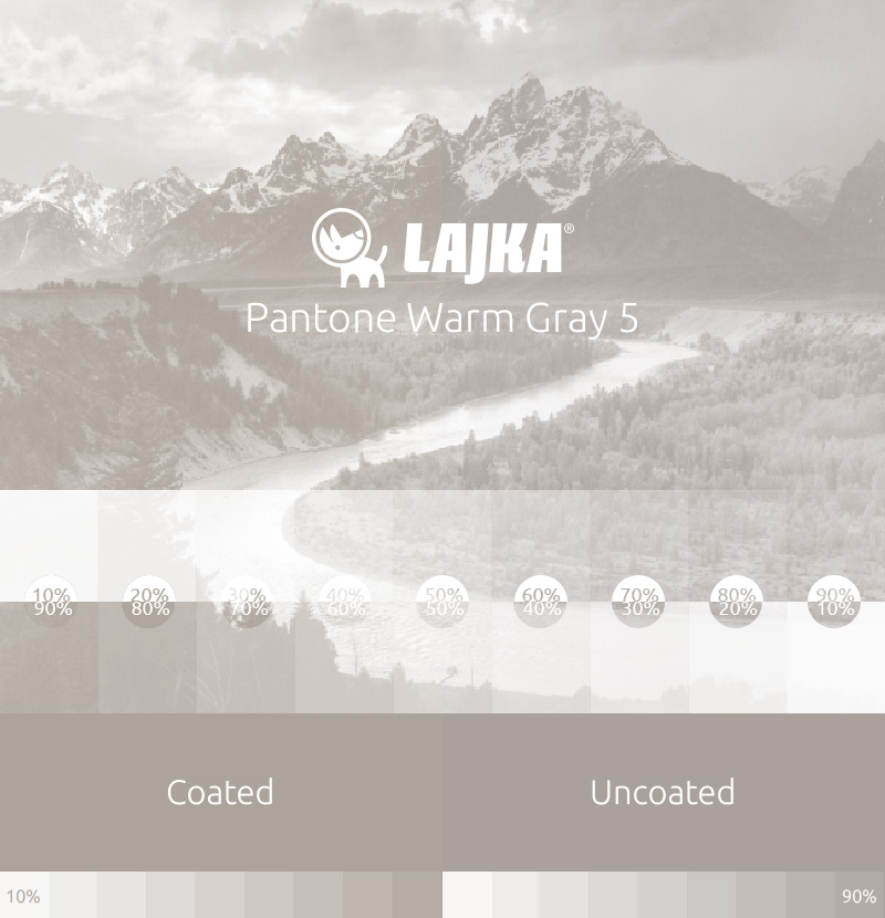 pantone warm gray 5