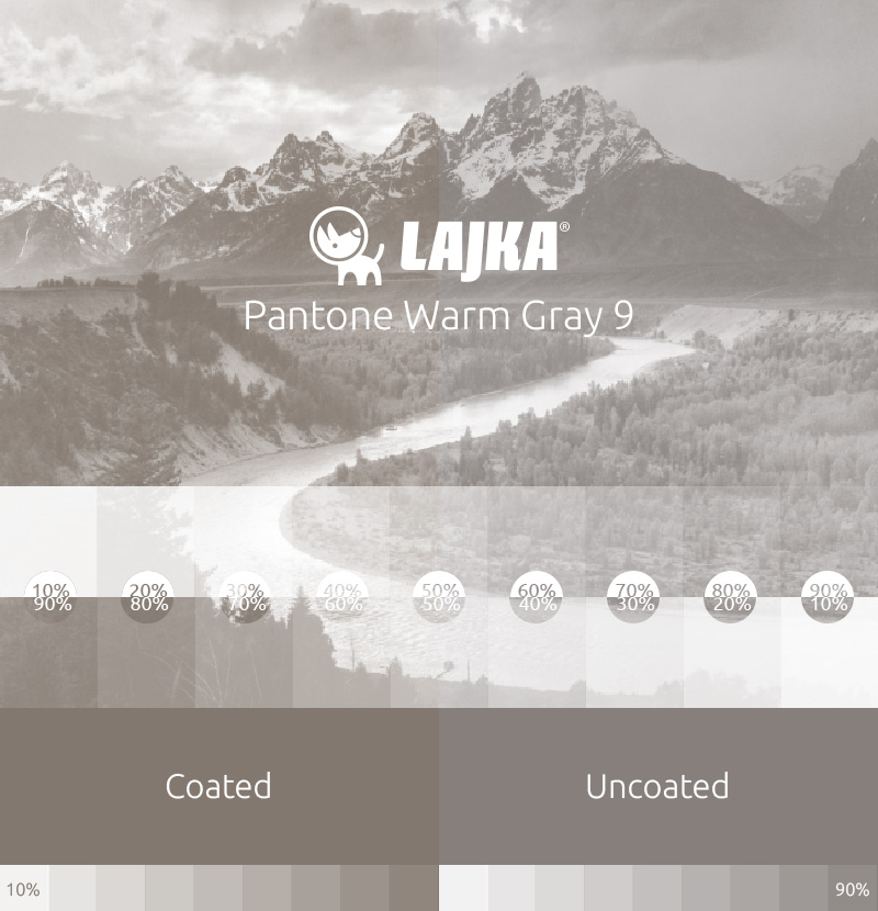 pantone warm gray 9