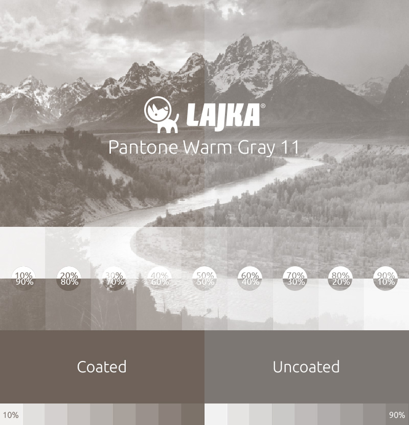 pantone warm gray 11