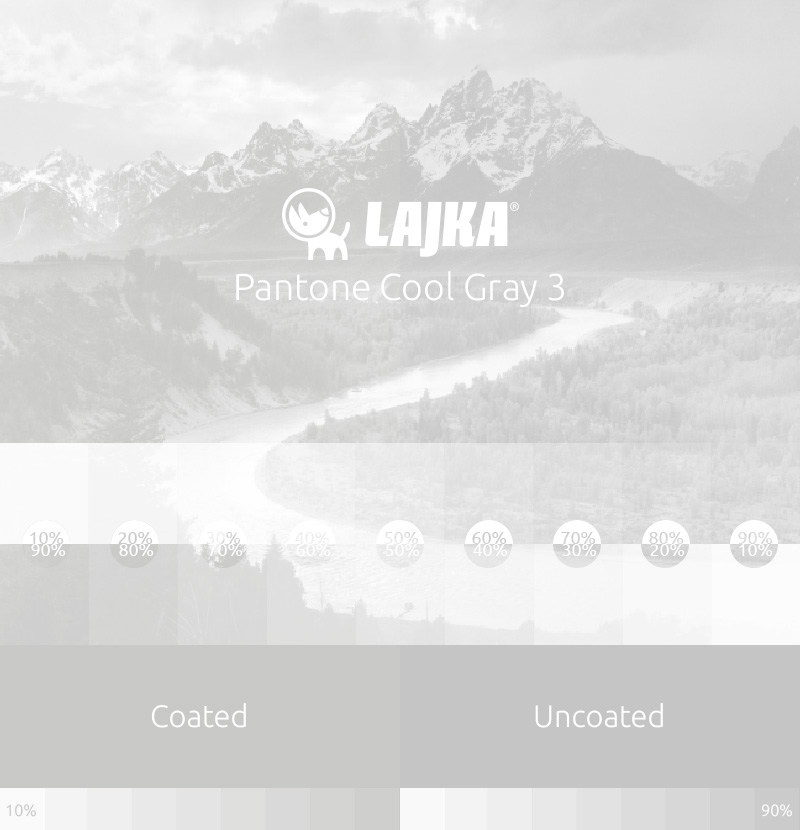 pantone cool gray 3