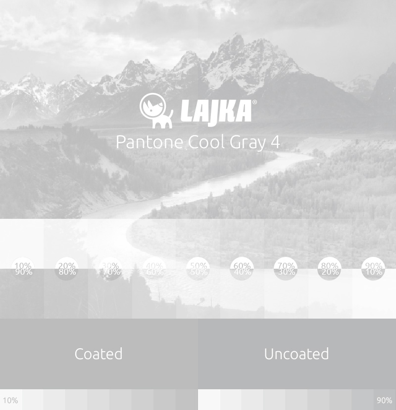 pantone cool gray 4