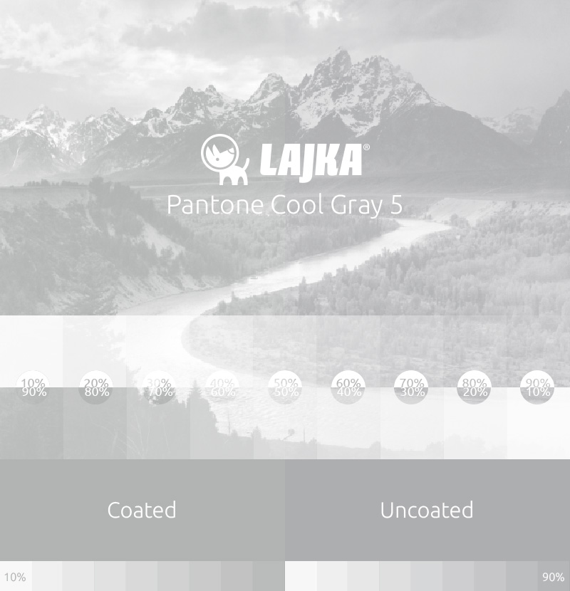 pantone cool gray 5