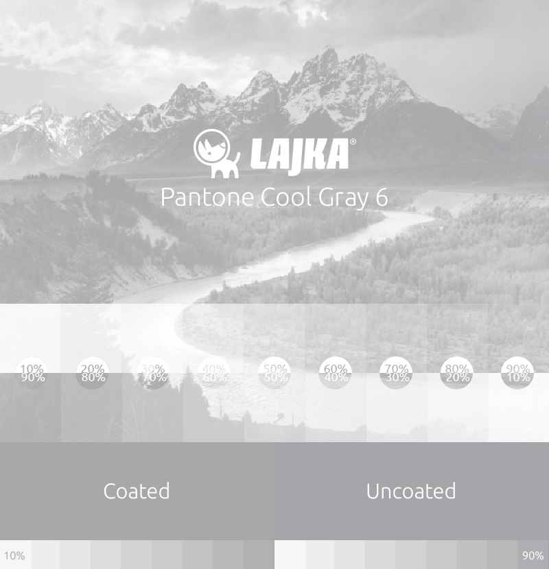 pantone cool gray 6