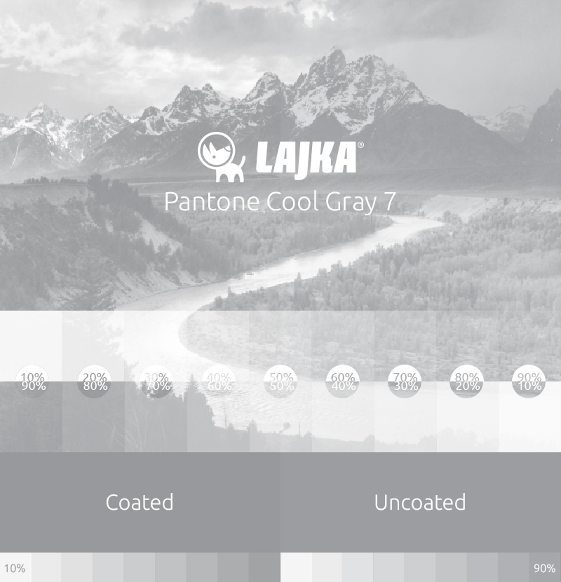 pantone cool gray 7