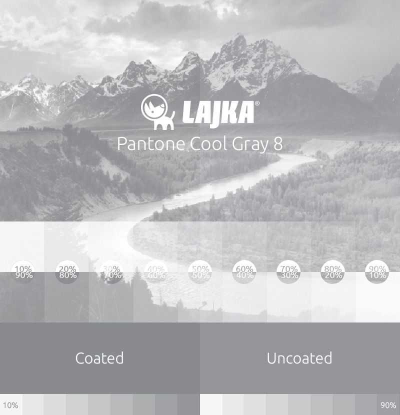 pantone cool gray 8
