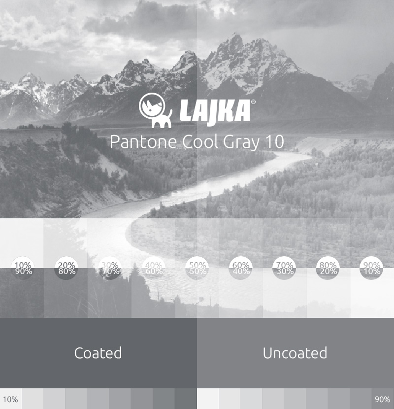 pantone cool gray 10