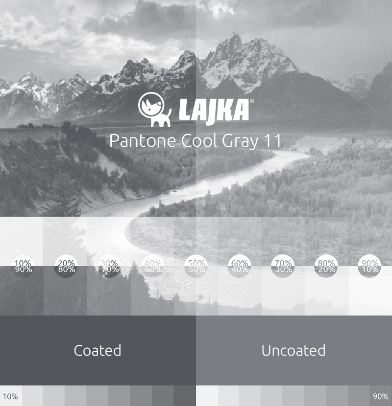 pantone cool gray 11