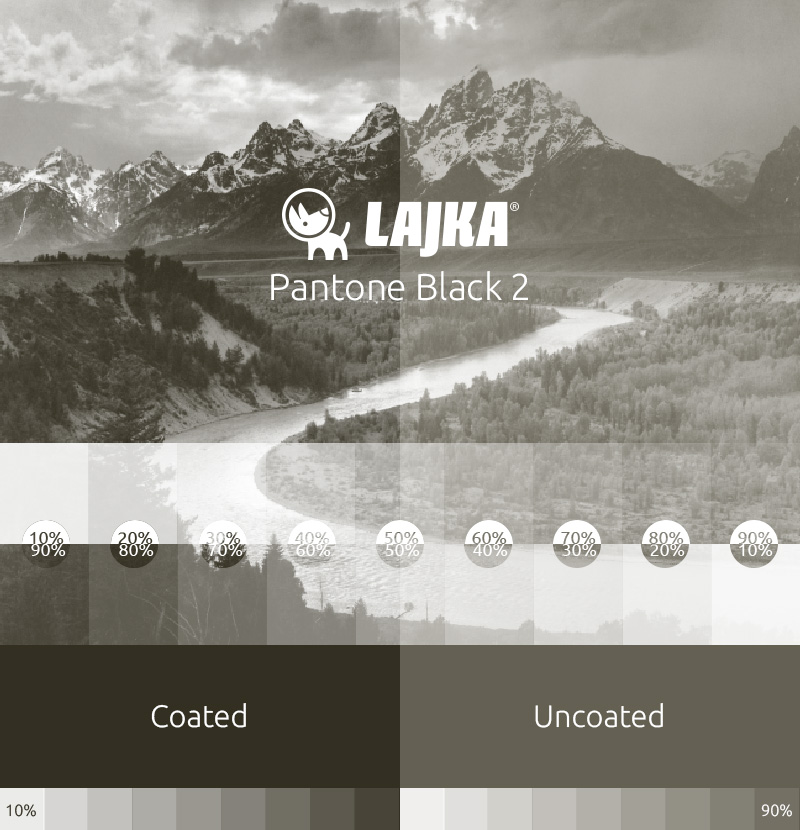 pantone black 2