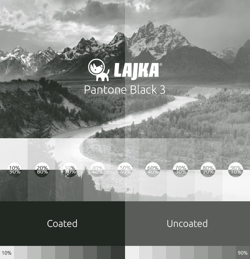 pantone black 3