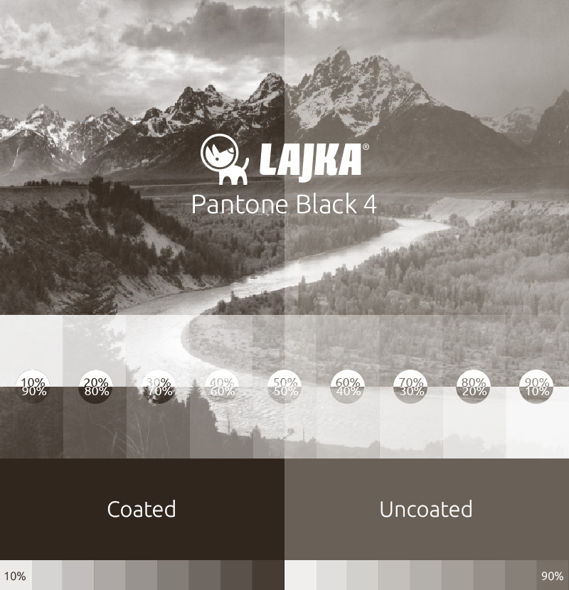 pantone black 4