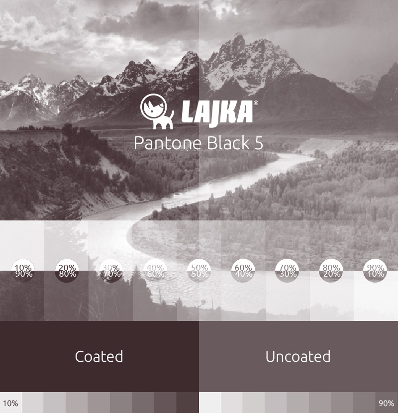 pantone black 5