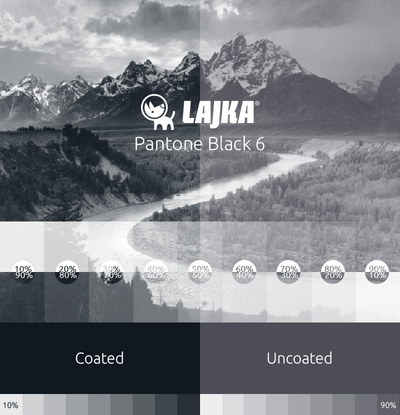 pantone black 6