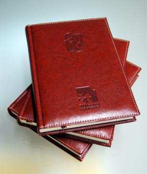 Diáre s razbou