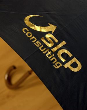 Detail loga firmy slcp consultin