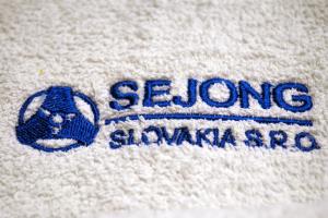 Detail loga Sejong