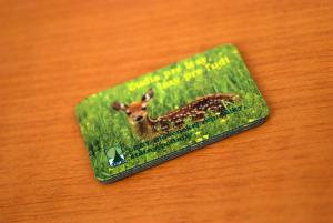 Magnetky s fotografiami prírody a zvieratiek Lesy SR