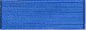 R1001