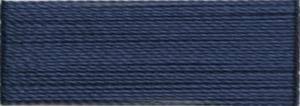R1009