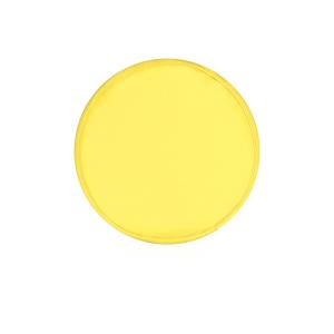 Frisbe Watson, žltá