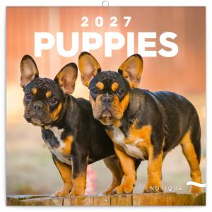 Nástenný plánovací kalendár s fotkami šteniat Puppies 2027
