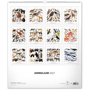 Nástenný kalendár Animalium – Lucie Jenčíková 2021 (2)