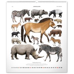 Nástenný kalendár Animalium – Lucie Jenčíková 2021 (4)