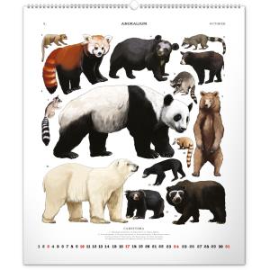 Nástenný kalendár Animalium – Lucie Jenčíková 2021 (5)