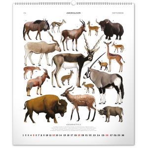 Nástenný kalendár Animalium – Lucie Jenčíková 2021 (6)