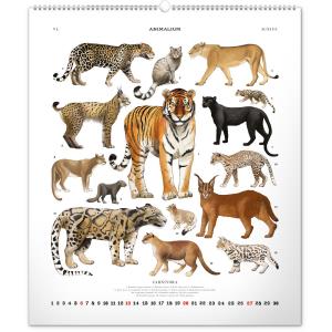 Nástenný kalendár Animalium – Lucie Jenčíková 2021 (9)