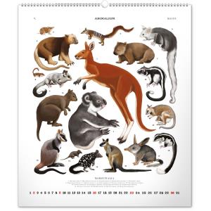 Nástenný kalendár Animalium – Lucie Jenčíková 2021 (10)