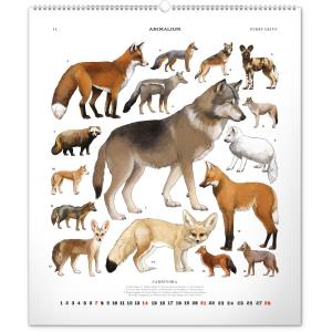 Nástenný kalendár Animalium – Lucie Jenčíková 2021 (13)